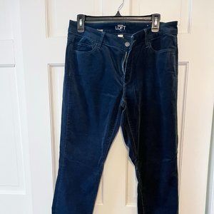 Ann Taylor Loft Women's Curvy Skinny Blue Velvet Jeans, Size 10